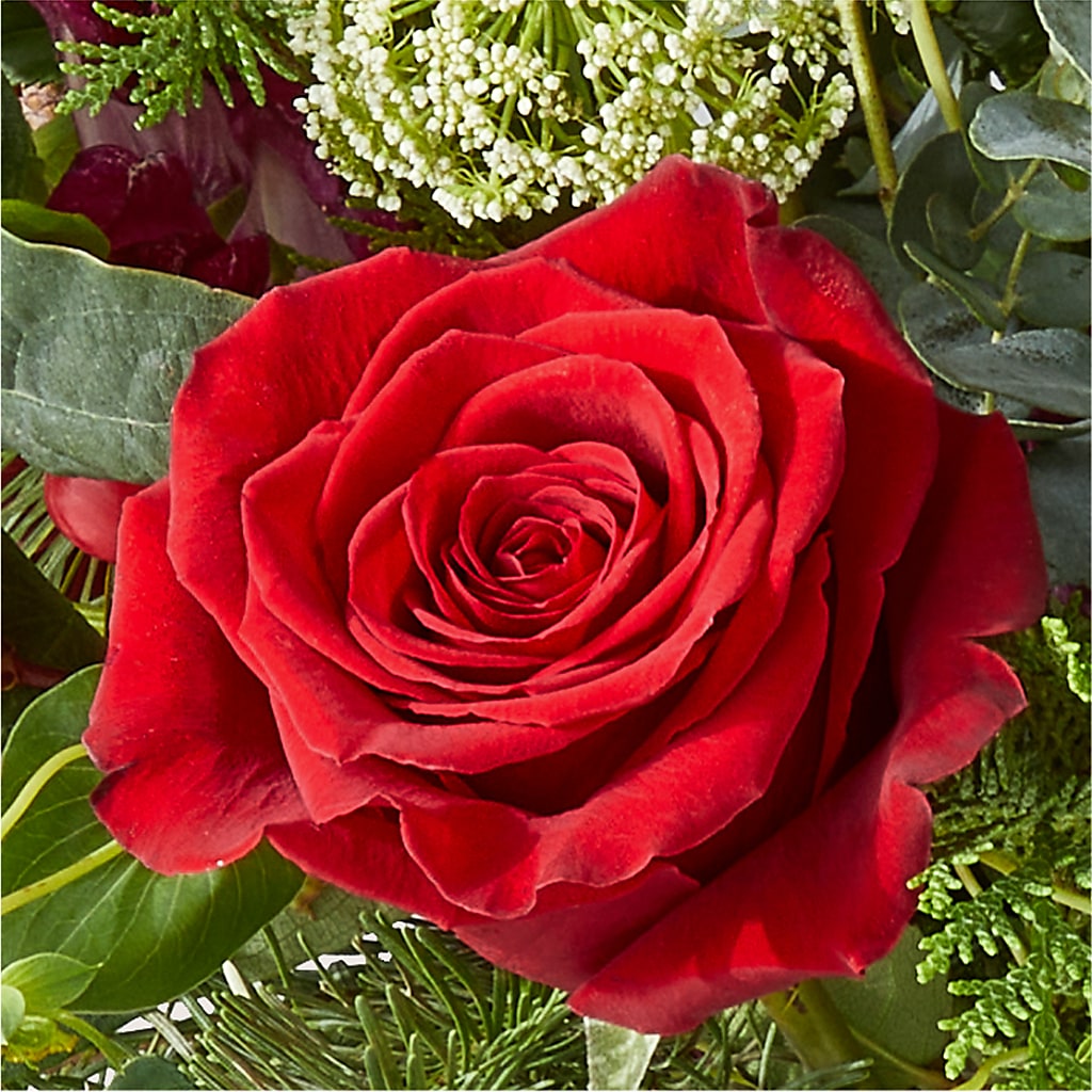 Cranberry Fizz Bouquet –  Talia Flowers, Ottawa ON