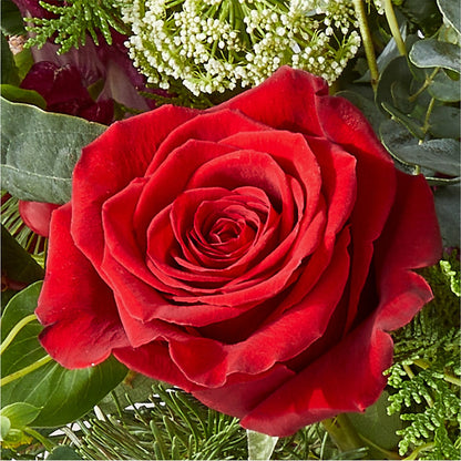 Cranberry Fizz Bouquet –  Talia Flowers, Ottawa ON