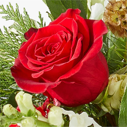 Deck the Halls Bouquet –  Talia Flowers, Ottawa ON
