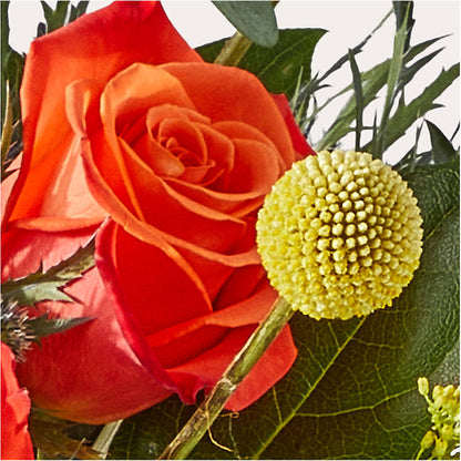 Disco Bouquet –  Talia Flowers, Ottawa ON