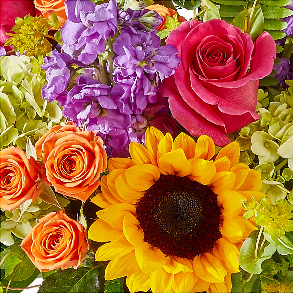 Vibrant Greetings Bouquet –  Talia Flowers, Ottawa ON