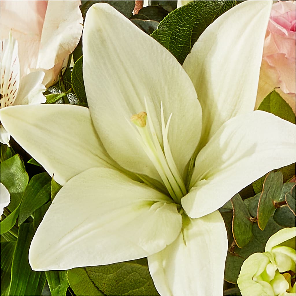 Ballet Slippers Bouquet –  Talia Flowers, Ottawa ON