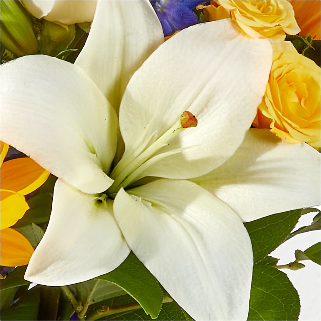 Wonderfully Sunny Bouquet –  Talia Flowers, Ottawa ON