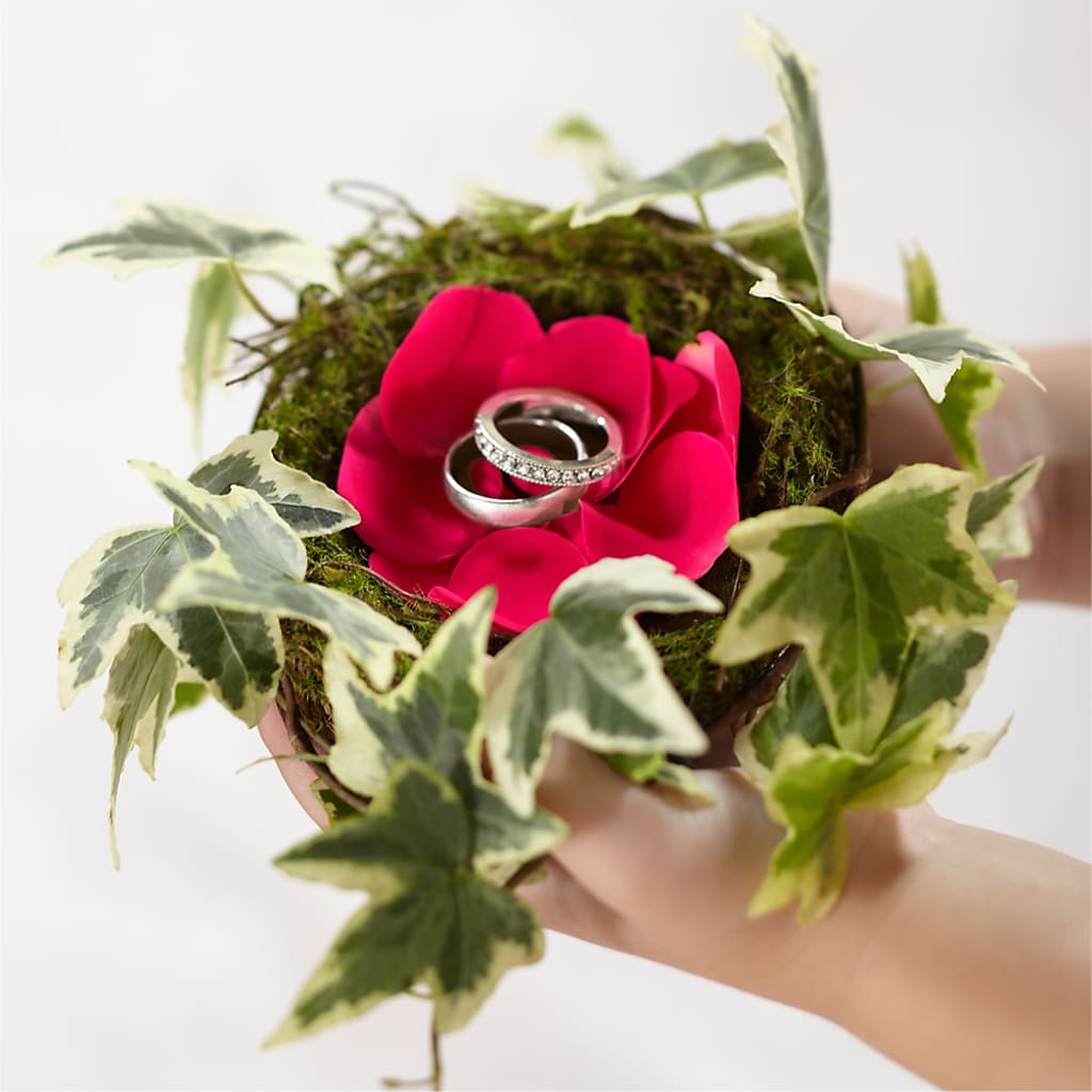Lila Rose Ring Nest –  Talia Flowers, Ottawa ON