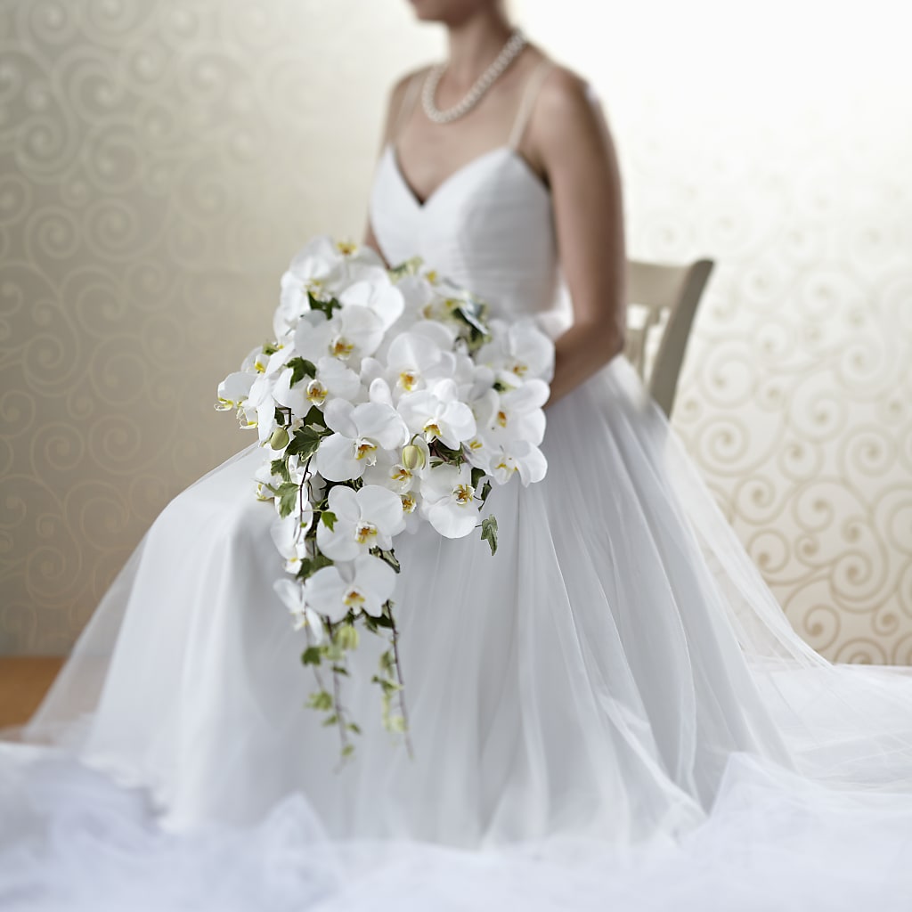 Classic White Bouquet –  Talia Flowers, Ottawa ON