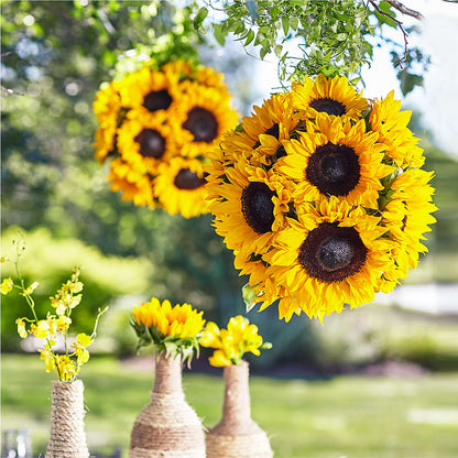 Sublime Garden Hanging Arrangement –  Talia Flowers, Ottawa ON