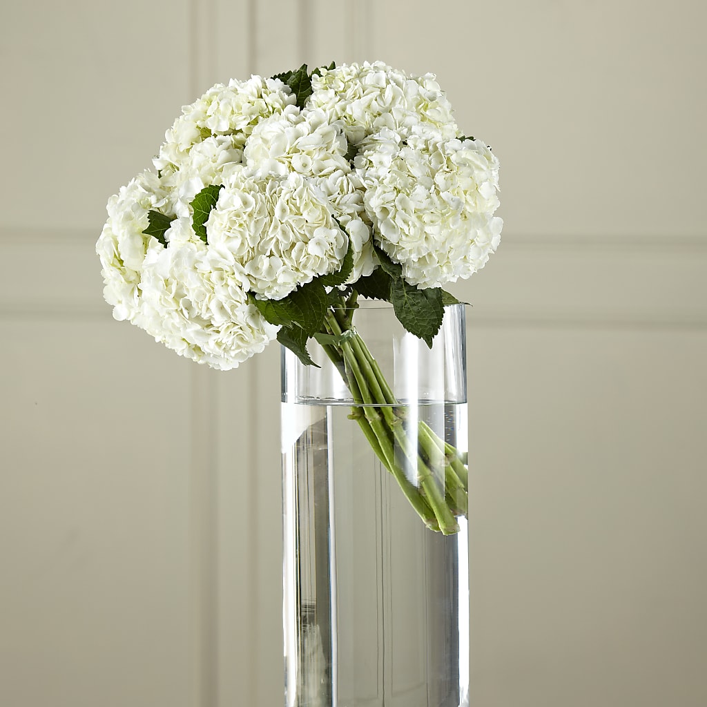 White Hydrangea Hand-Tied Bouquet –  Talia Flowers, Ottawa ON