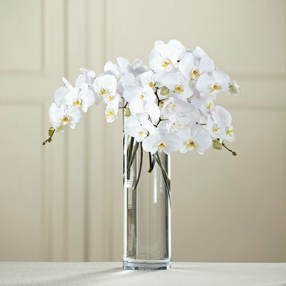 White Phalaenopsis Bouquet –  Talia Flowers, Ottawa ON