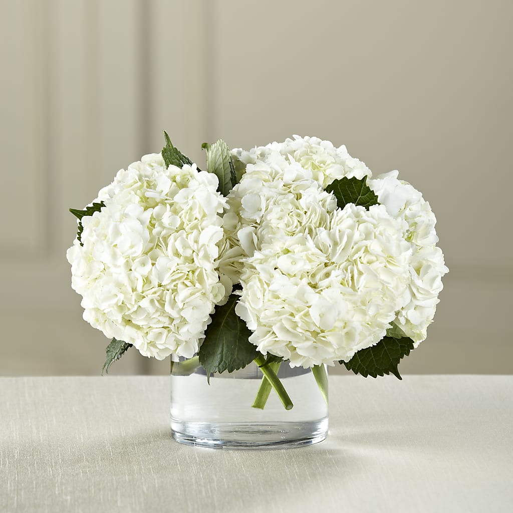 White Hydrangea Bouquet –  Talia Flowers, Ottawa ON