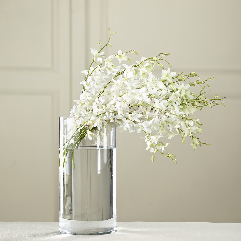 White Dendrobium Bouquet –  Talia Flowers, Ottawa ON